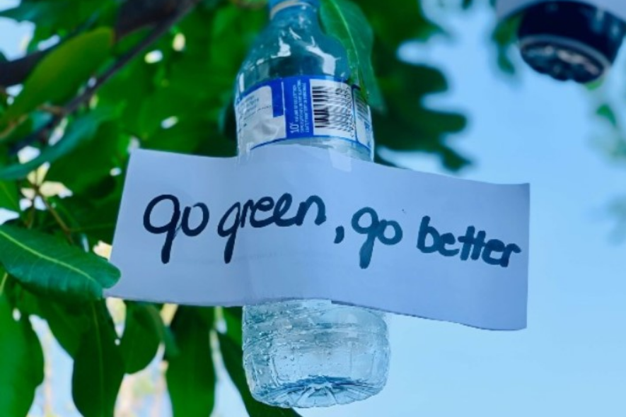 go-green-bottle-tree-sustainability