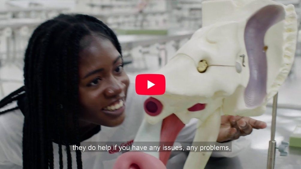 Play Video - GET A HEAD START ON STUDY SUCCESS