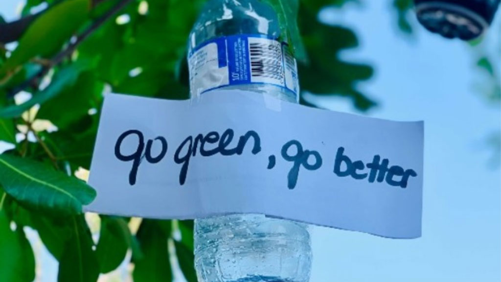 Go green bottle tree sustainability