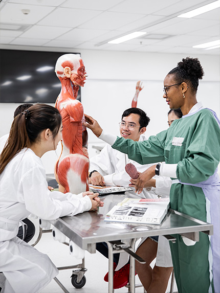 Students in science lab
