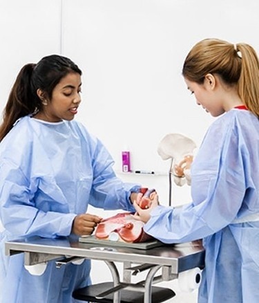 Students working science lab